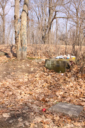 Mary Stockum's Grave